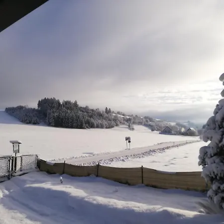 Appartamento Haus Petra Neumarkt in Steiermark Esterno foto