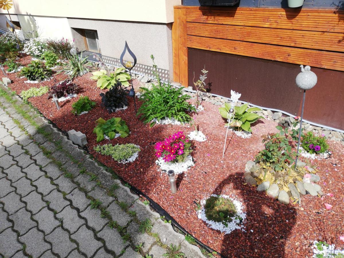Haus Petra Apartment