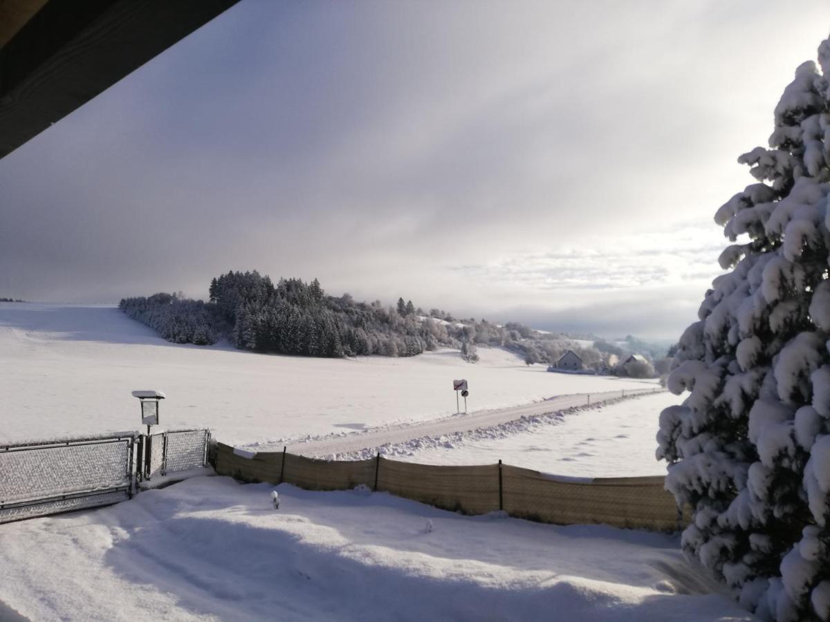 Haus Petra * Neumarkt in Steiermark