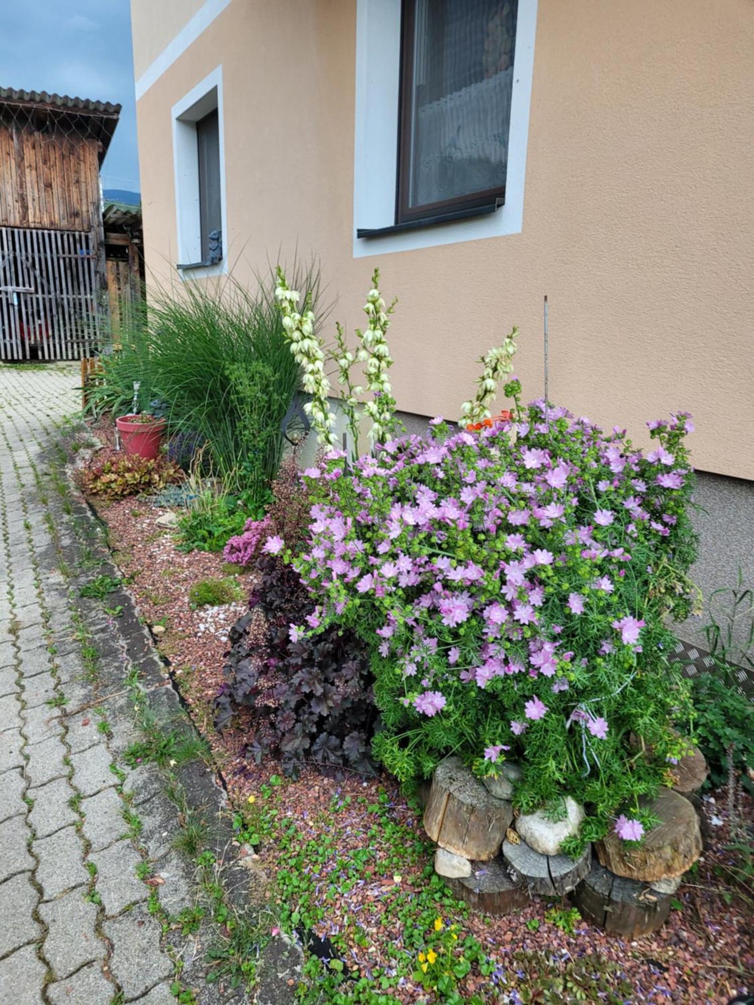 Apartment Haus Petra